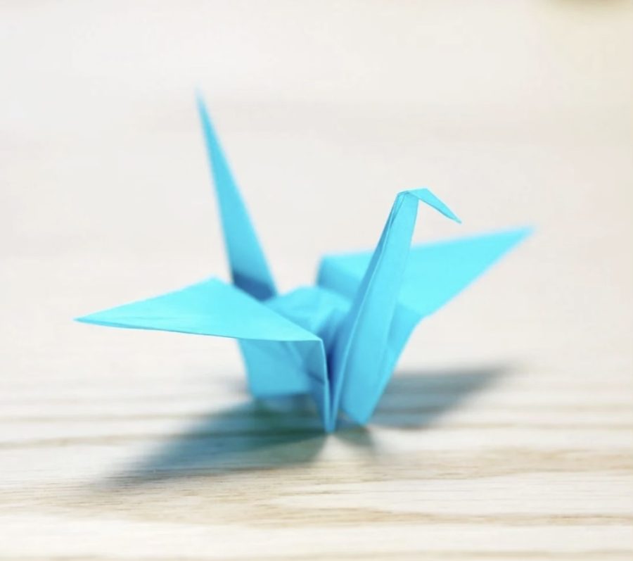 Paper+Cranes