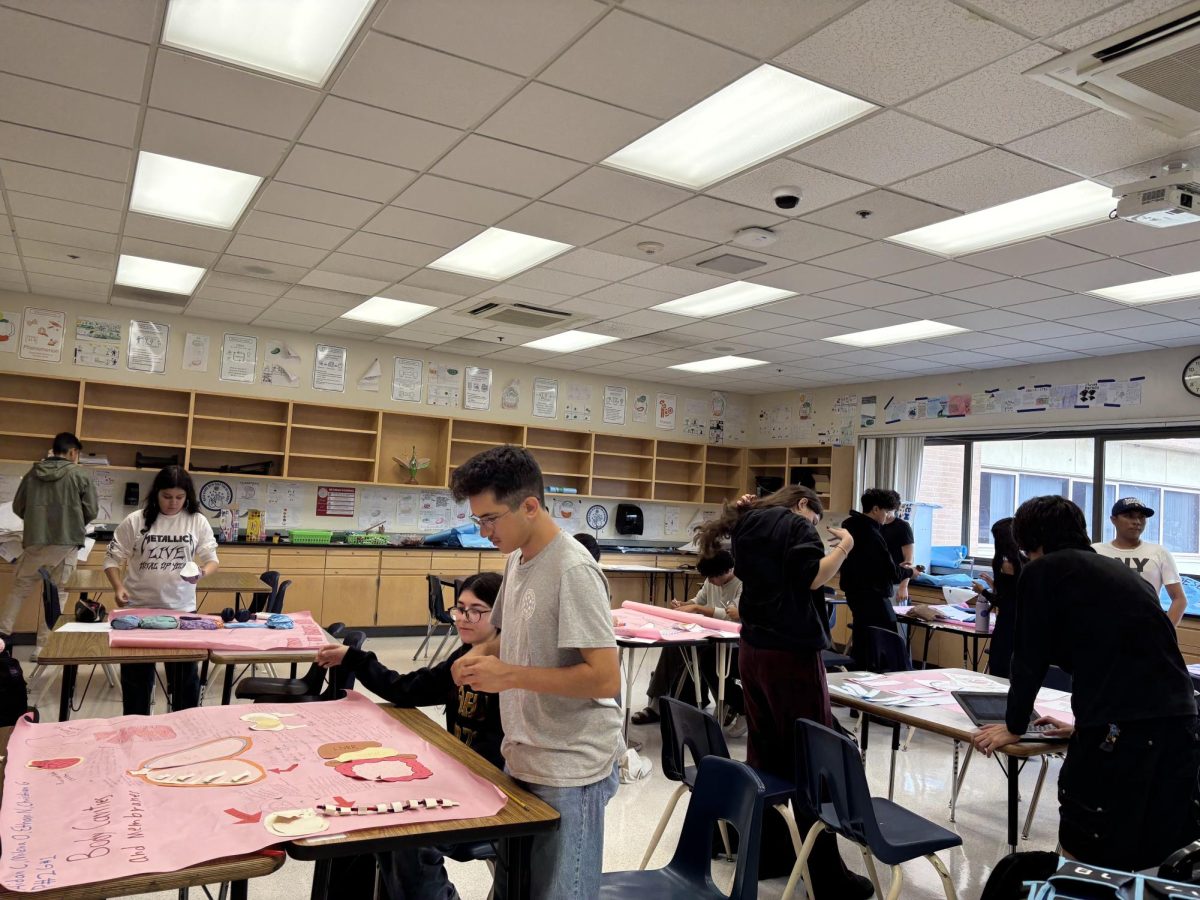 Mr. Gurrola's students love working on projects.